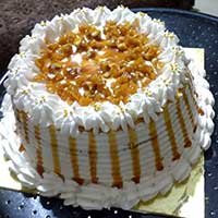 msdcakes