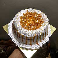 msdcakes
