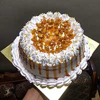 msdcakes