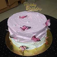 msdcakes