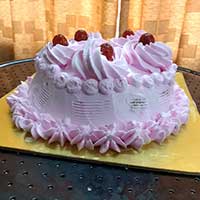 msdcakes