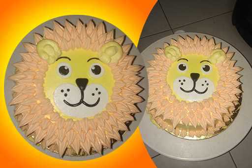 cake13